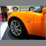 Lotus_010.jpg