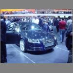 VAG_005.jpg