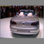 VAG_008.jpg