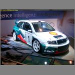 VAG_011.jpg