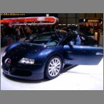 VAG_016.jpg