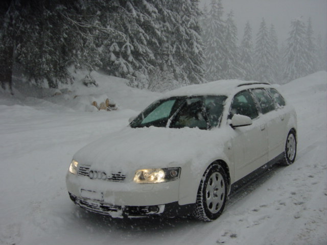 ChB_DSC04991.JPG